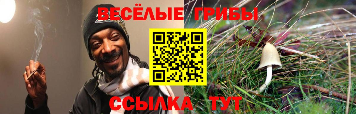 Псилоцибиновые грибы мицелий Волгоград